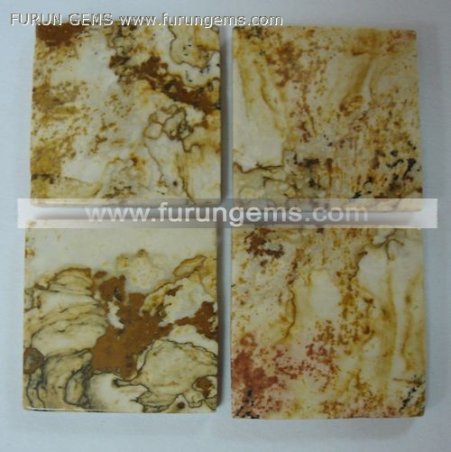 picture jasper square slab/tiles